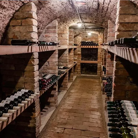 Cabernet * Velké Pavlovice