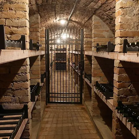 Cabernet Velké Pavlovice