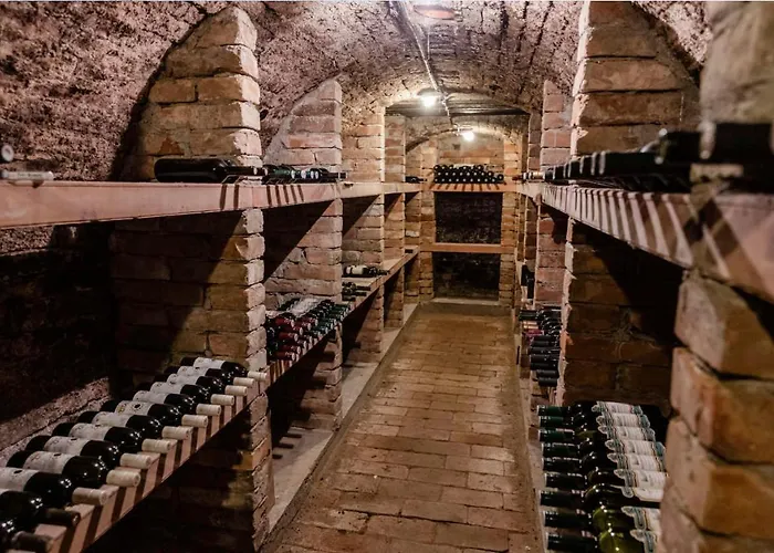 Cabernet * Velké Pavlovice