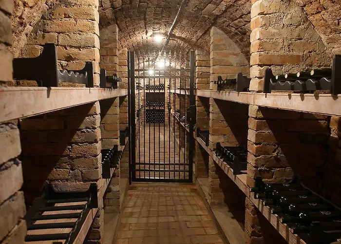 Cabernet Velké Pavlovice